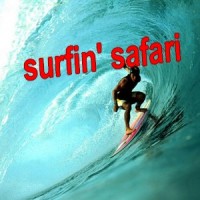 Summer Surfin’ Safari Interval Profile
