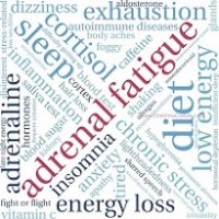 What is Adrenal Fatigue Syndrome?